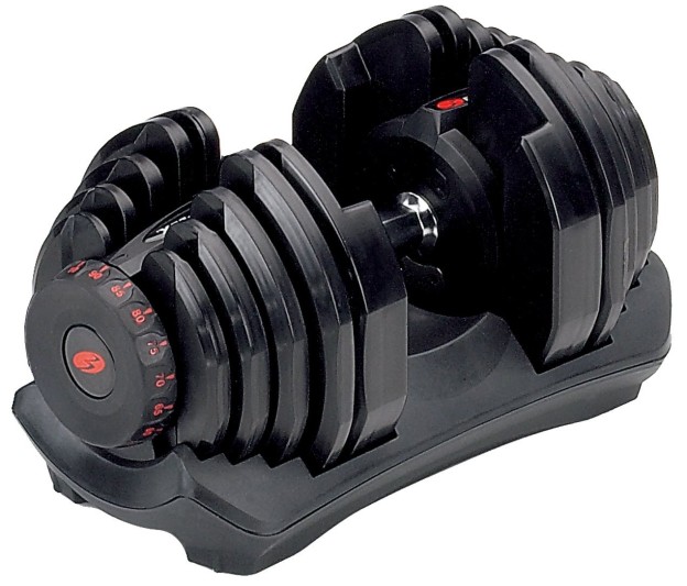 Are Cheap Adjustable Dumbbells Worth It?
