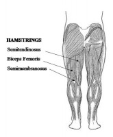 Home Hamstring Workout