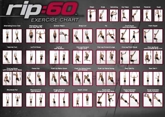 Jungle Gym Xt Exercise Chart